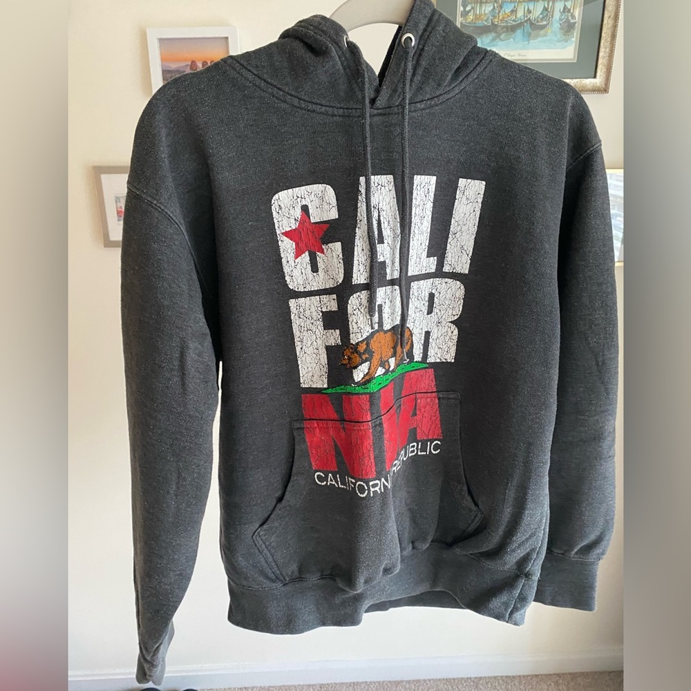 California Republic Dale grey hoodie